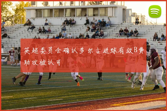 英超委员会确认多尔古进球有效B费助攻被认可